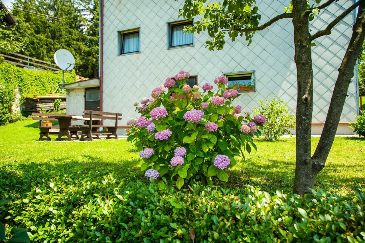 Apartman Japlenski Delnice Exterior photo